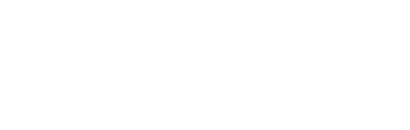 The Sun